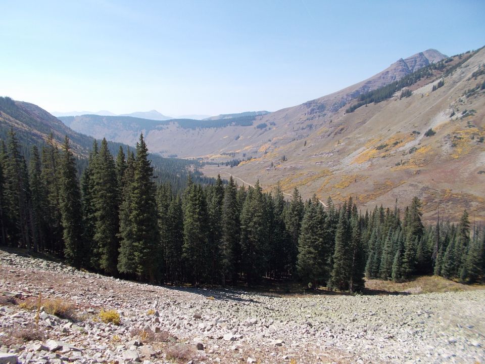 Mountain valley scene with pine trees and a dirt road