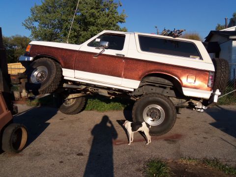 rear suspension