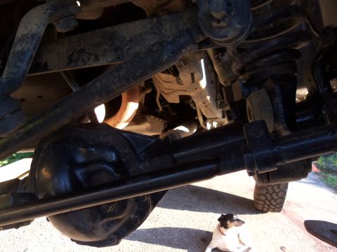 1989 Ford Bronco - Close-up of rear axle and suspension parts, with a dog in the foreground.