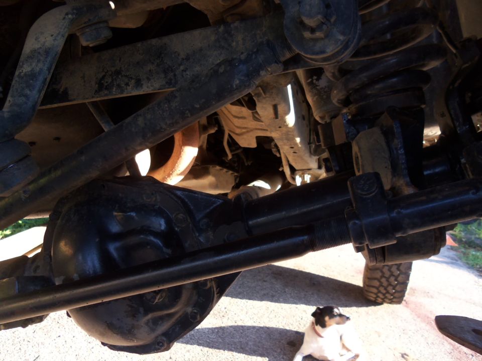 Underneath view of a vehicle's rear axle, differential housing, and suspension arms. A small dog sits on the ground nearby