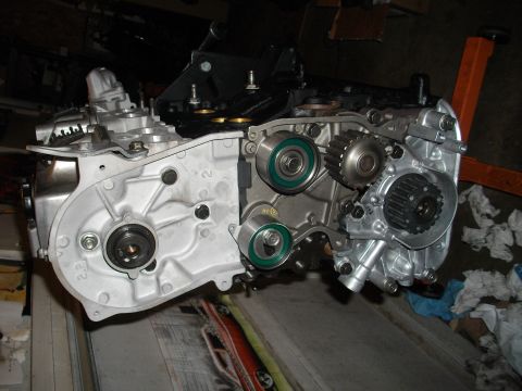 1989 Ford Probe - Close-up view of engine timing belt components, including gears and tensioner pulleys.