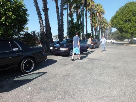 2003 Ford Crown Victoria - Two dark Ford sedans parked along a palm-lined lot as men gather nearby