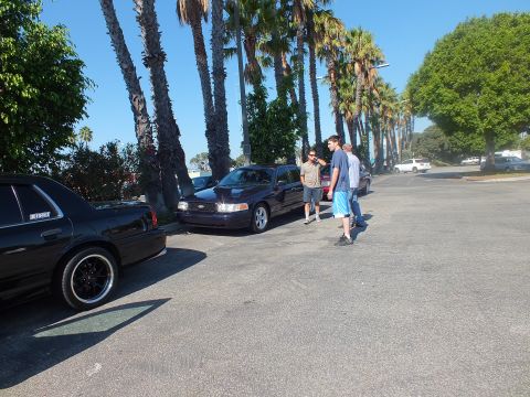 2003 Ford Crown Victoria - Black sedans parked in a palm-lined lot with men standing between them