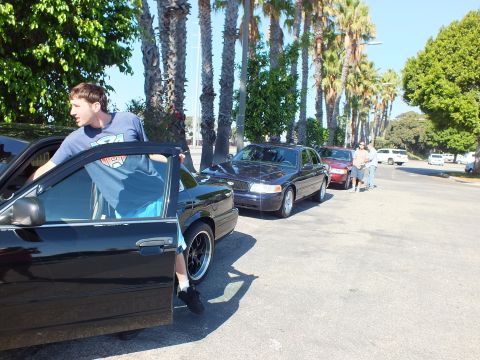 2003 Ford Crown Victoria - Man exits a black sedan as a Lincoln Town Car and red car sit behind along a palm-lined street