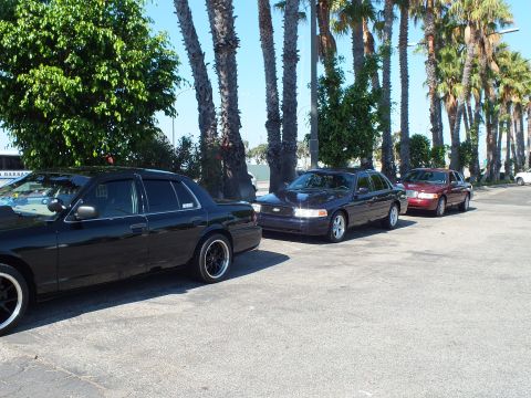 2003 Ford Crown Victoria - Line of parked Ford sedans including black and maroon Crown Victorias along a palm-lined lot