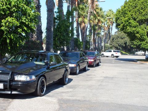 2003 Ford Crown Victoria - Row of dark sedans lined up under tall palms, lead car on black wheels with push bar