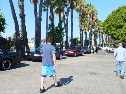 2003 Ford Crown Victoria - Person crossing pavement toward black and maroon sedans parked along a row of palms