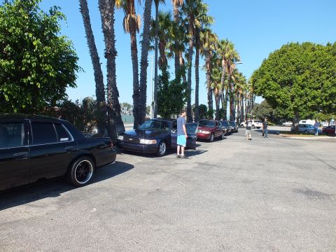 2003 Ford Crown Victoria - Black, blue and maroon sedans lined up beside palms as a person leans against one