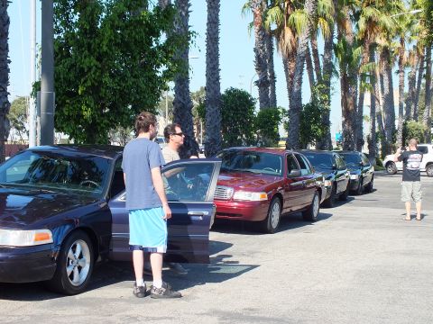 2003 Ford Crown Victoria - Two men by an open-door dark sedan, maroon and black sedans queued behind under palms