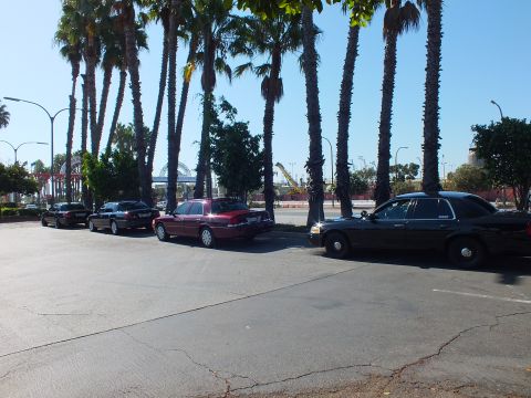 2003 Ford Crown Victoria - Sedans lined at an angle beside palms with a red truss arch and cranes beyond