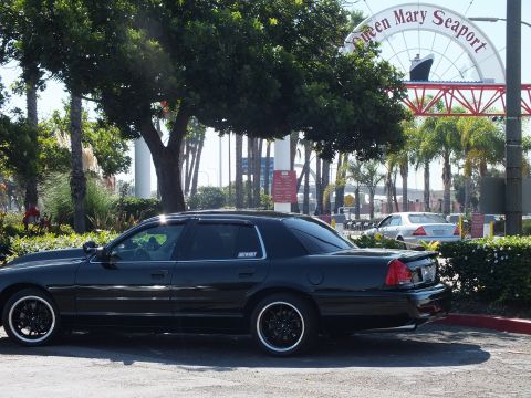 2003 Ford Crown Victoria - Lowered dark sedan on black wheels framed by the red seaport arch and palms