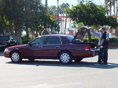 2003 Ford Crown Victoria - Burgundy four-door sedan with raised trunk lid, a man at the rear and row of flags among palms behind.