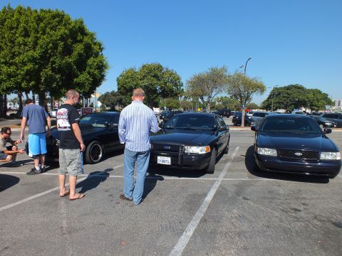 2003 Ford Crown Victoria - Three black Ford four-doors lined up with chrome grilles, men standing and crouching to look them over.