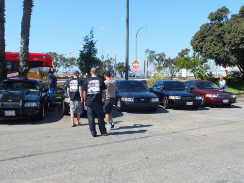 2003 Ford Crown Victoria - Spectators walk past a lineup of dark Ford sedans, a red articulated bus parked at left.