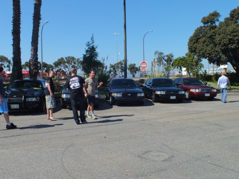 2003 Ford Crown Victoria - Five Ford sedans line a lot with palms and a stop sign as bystanders look on.
