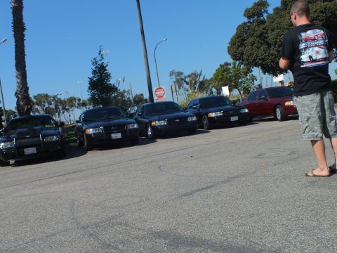 2003 Ford Crown Victoria - man photographs a diagonal row of black Crown Victorias and one maroon sedan.