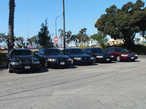2003 Ford Crown Victoria - Five Ford sedans, four black and one maroon, sit angled across a sunlit parking lot.