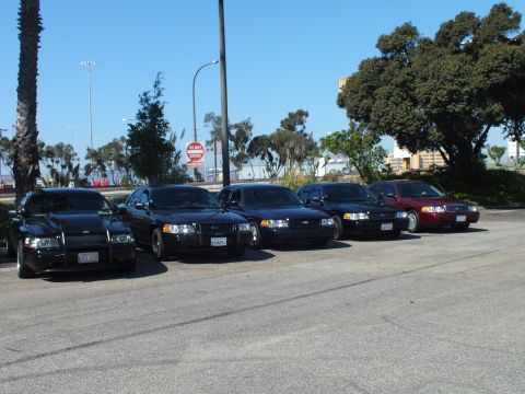2003 Ford Crown Victoria - Front-three-quarter view of a row of dark Ford sedans parked along palms and shrubs.