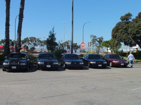 2003 Ford Crown Victoria - Front view of five parked Ford sedans, a person walking past the maroon car at right.