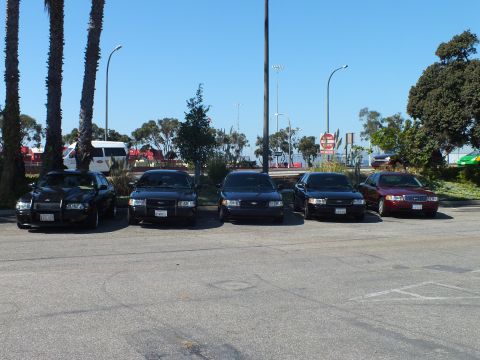 2003 Ford Crown Victoria - Front view of five lined-up Ford sedans, four dark and one maroon, on bright pavement.