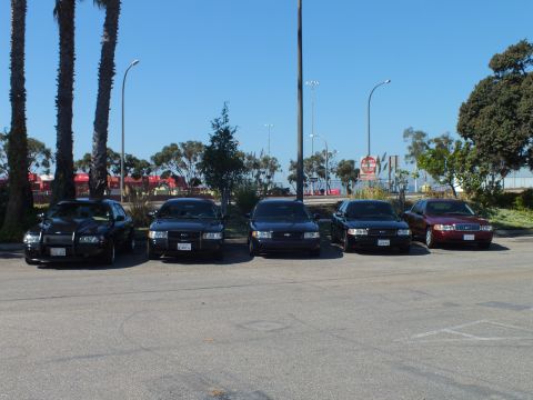 2003 Ford Crown Victoria - Five Ford sedans sit head-on in a parking lot framed by palms and a clear sky.