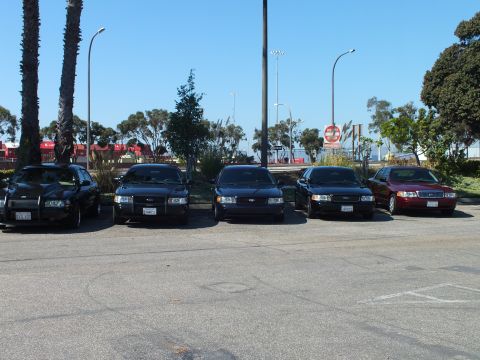 2003 Ford Crown Victoria - Front-facing row of five Ford sedans on a wide lot with light poles and palms.