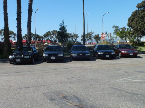 2003 Ford Crown Victoria - Five parked Ford sedans face forward, headlights catching sun under tall palms.