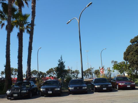 2003 Ford Crown Victoria - tall curved lamppost rises over five Ford sedans parked along palms in a lot.