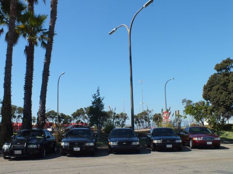 2003 Ford Crown Victoria - Five Ford sedans line up beneath a curved street lamp and palms under a blue sky.