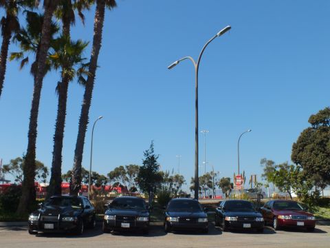 2003 Ford Crown Victoria - Wide shot of five parked Ford sedans beneath a lamppost and palms on a clear day.