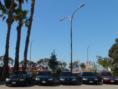 2003 Ford Crown Victoria - Five Ford sedans sit angled in a lot below a curved lamppost and swaying palms.