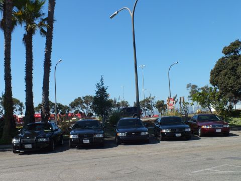 2003 Ford Crown Victoria - Five Ford sedans parked under a lamppost, a dark SUV and palms framing the lot behind.