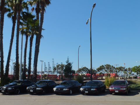2003 Ford Crown Victoria - Five full-size sedans lined up in a coastal lot, harbor cranes and red containers visible behind palms.