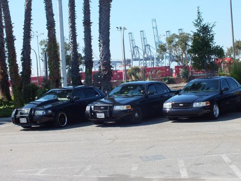 2003 Ford Crown Victoria - Black Crown Vics including a lowered car with push bar, lined beside palms and dockside container yard.