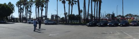 2003 Ford Crown Victoria - Wide lot panorama with sedans parked at right, people walking, palms and port cranes lining the horizon.