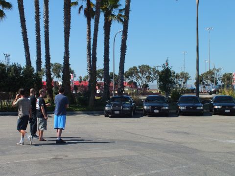 2003 Ford Crown Victoria - Four people stand looking toward a row of dark sedans in a sunlit lot, palms and red containers behind.