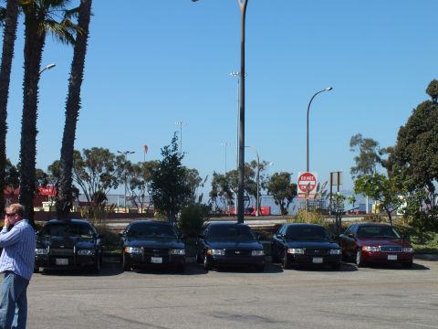 2003 Ford Crown Victoria - Sedan lineup beside the waterfront, person at left foreground, Do Not Enter sign across the lot.