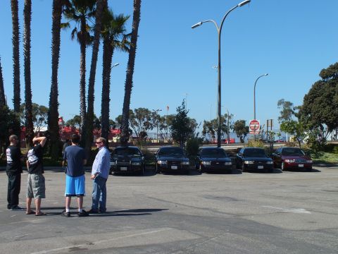 2003 Ford Crown Victoria - Group photographs five parked sedans in a coastal lot, light poles and Do Not Enter sign behind.