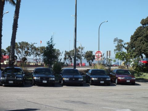 2003 Ford Crown Victoria - Front view of five full-size Ford sedans, oval badges visible, harbor and Do Not Enter sign behind.
