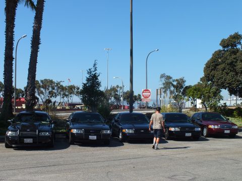 2003 Ford Crown Victoria - man walks alongside a sedan lineup in a waterfront lot, Do Not Enter sign and palms behind.