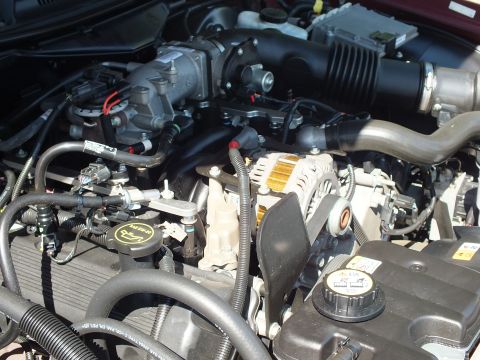 2003 Ford Crown Victoria - Detailed under-hood view of a Ford modular V8 with alternator and brake master cylinder visible.