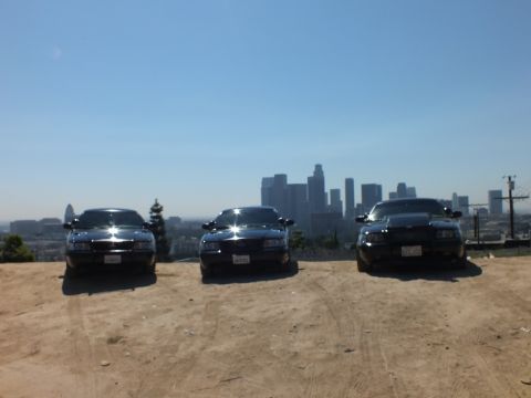 2003 Ford Crown Victoria - Daylight view of black sedans staged on a hill above the skyline