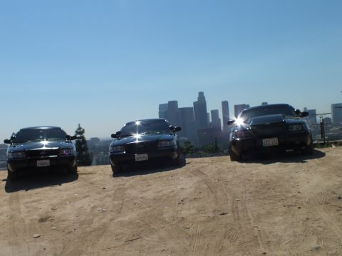 2003 Ford Crown Victoria - Black sedans parked at angles on a hilltop with downtown towers behind