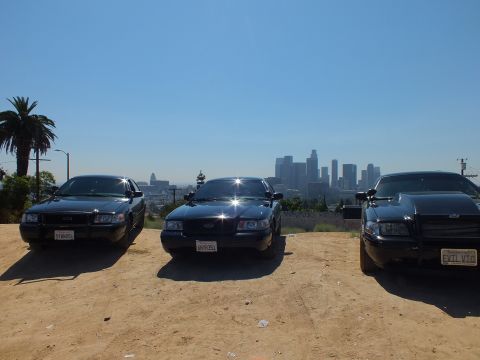 2003 Ford Crown Victoria - Three black Ford sedans spread across a hilltop lot, palm tree at left and city towers centered behind