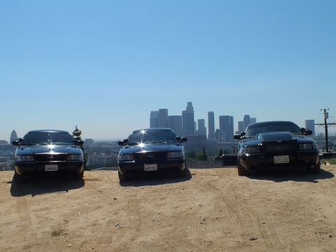 2003 Ford Crown Victoria - Front view of three black Crown Victorias parked side by side, sun glinting off hoods, LA towers in the haze.