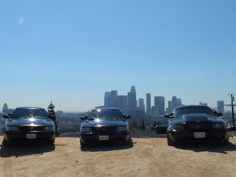 2003 Ford Crown Victoria - Sunlit hoods of three black Crown Victorias parked in a row, LA towers rising in the background haze.