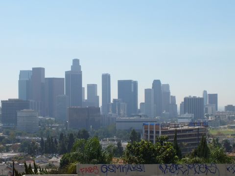 2003 Ford Crown Victoria - Downtown LA towers rise over leafy mid-rise buildings; a graffiti-covered wall lines the foreground.