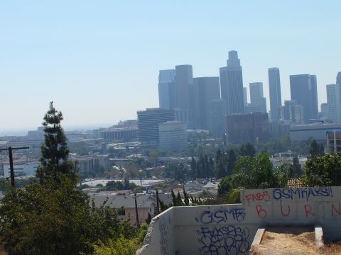2003 Ford Crown Victoria - Hillside view of the hazy LA skyline and freeway, a pine tree and tagged wall framing the foreground.