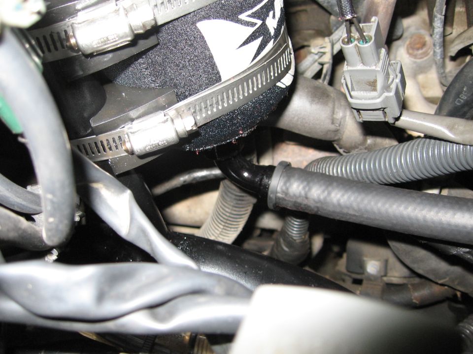 Engine bay with aftermarket air filter and hoses. Some fluid appears to be leaking