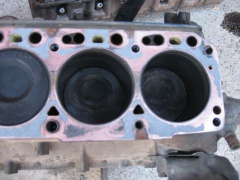 1981 Ford Bronco - The pistons were in great shape. A little dirty, but chips or nicks. I haven't removed them yet, so I haven't seen the underside, but from…